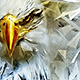 Digital Painting 2 Photoshop Action - GraphicRiver Item for Sale